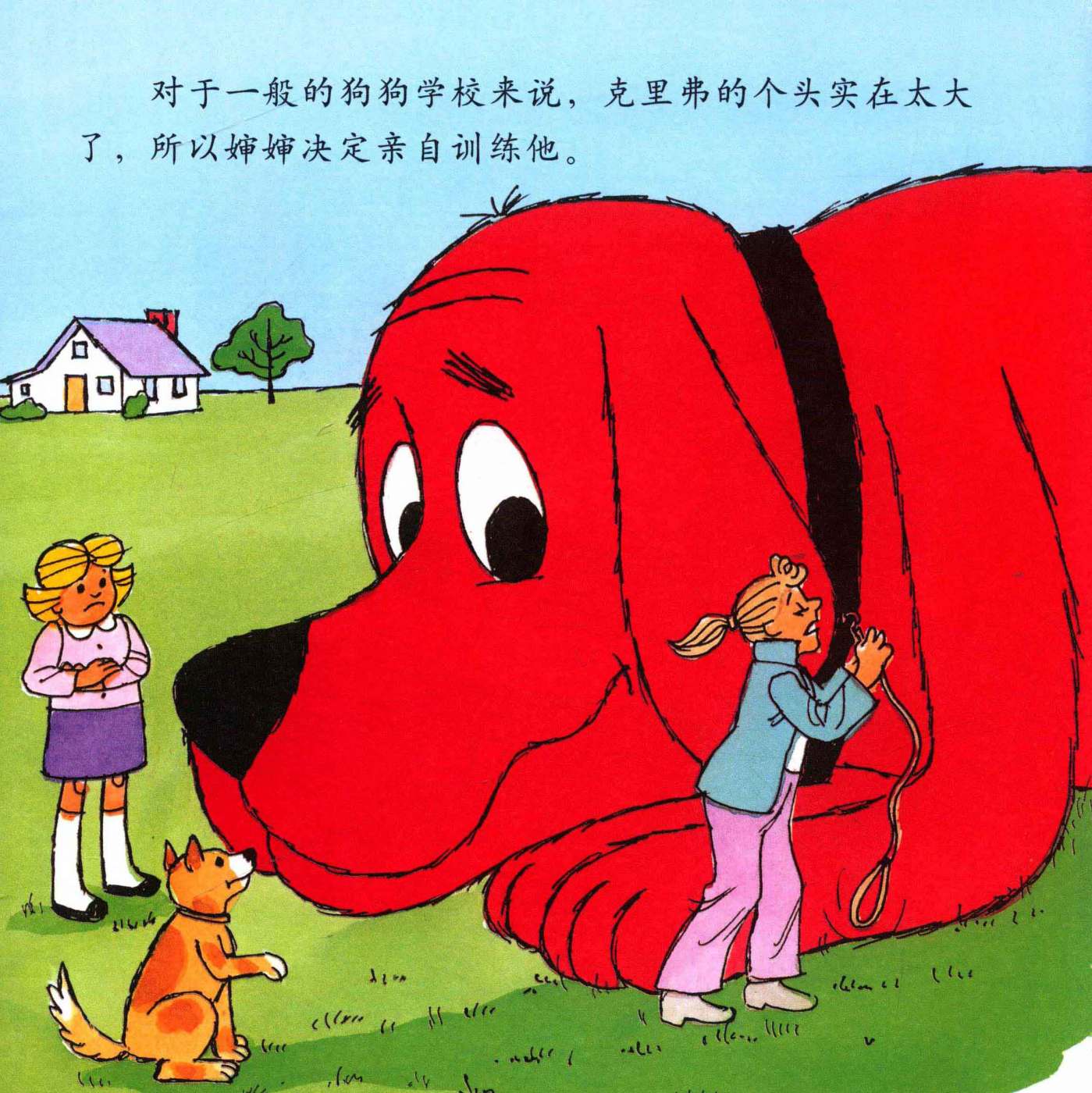 第 11 页