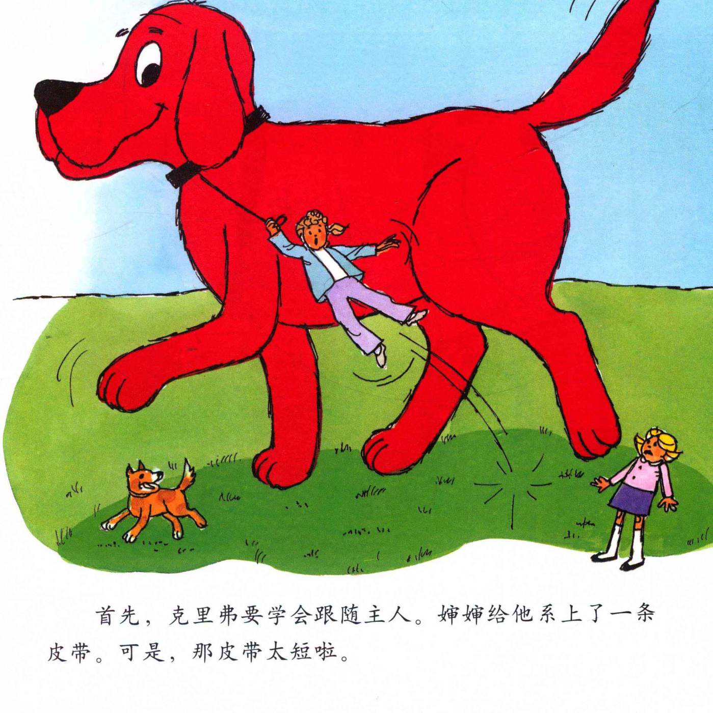 第 12 页