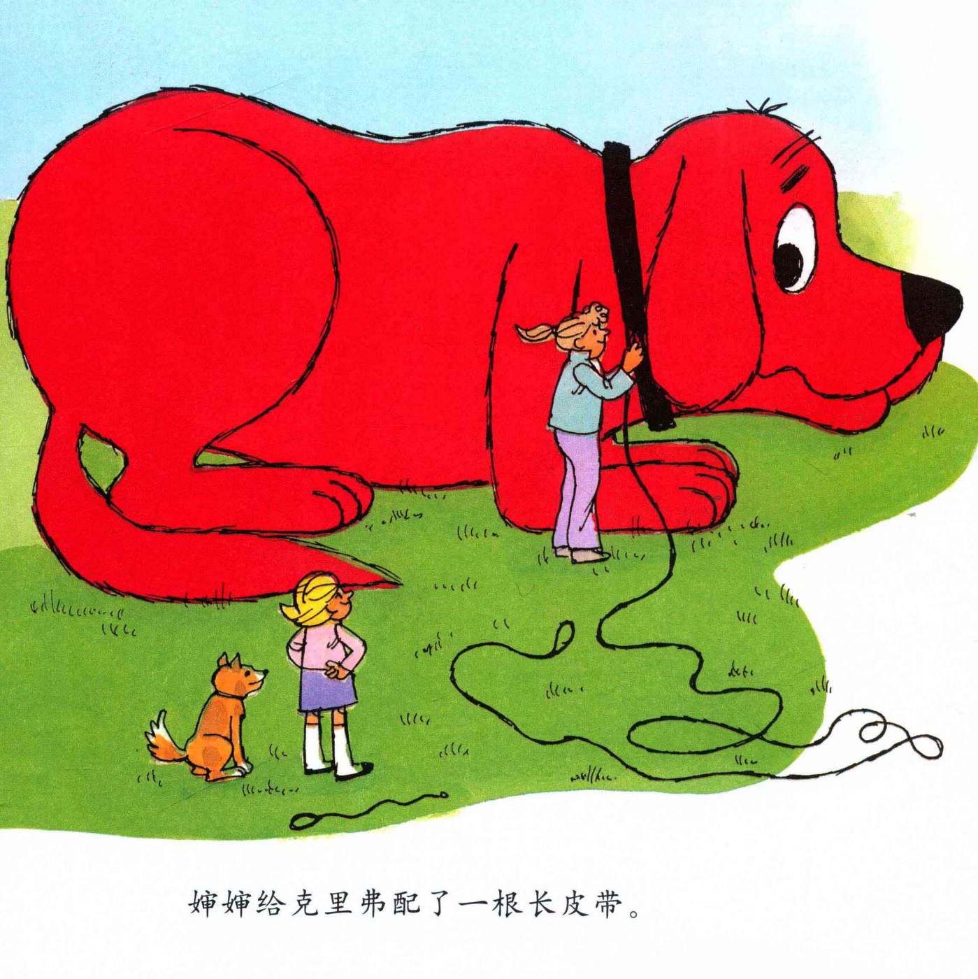 第 13 页