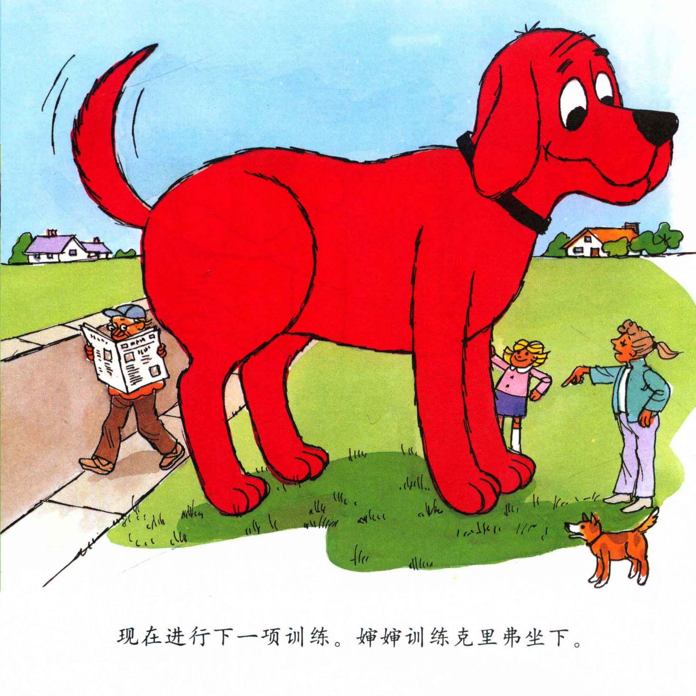 第 15 页